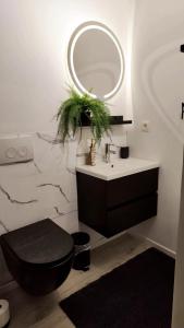 a bathroom with a sink and a toilet and a mirror at Logement romantique et cosy in Charleroi