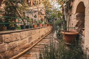an alley with potted plants on a stone wall at Vintage Cave House Hotel in Göreme +35 photos