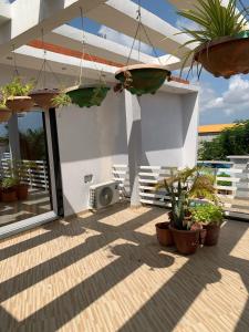 a patio with potted plants and an umbrella at JUCENTE_ALOJAMENTO_LOCAL in Quifica