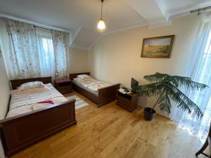 - une chambre avec 2 lits et une plante dans l'établissement Pod Dziką Różą, à Baligród