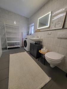 uma casa de banho com um WC, um lavatório e uma máquina de lavar roupa em Beautiful Cozy apartments close to lakes and nature parks em Schwandorf