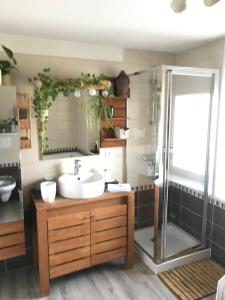 a bathroom with a sink and a shower at Côté Rive, au bord de la rivière La Moselotte et terrasse in Saulxures-sur-Moselotte