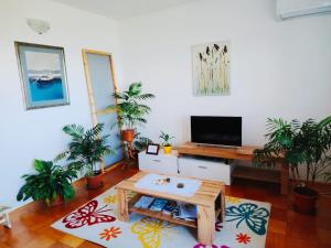 TV a/nebo společenská místnost v ubytování FoREST Heritage Apartment