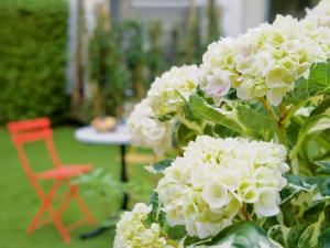 a bush of white flowers and a red chair at Apartmenthaus Hamburg Les Jardins in Hamburg