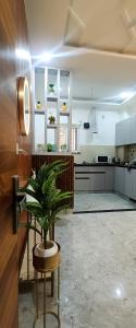 a kitchen with a potted plant in the middle at Hillview 2BHK Flat in Dehradun in Dehradun