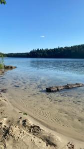 a rock sticking out of the water on a beach at Stara Szkoła na Warmii in Mokiny
