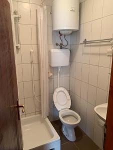 Vila Rakoč في كولاسين: حمام صغير مع مرحاض ومغسلة