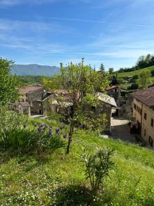 una vista di un villaggio con fiori nell'erba di Apartma Anže Samec a Dobravlje
