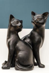 two black cats sitting next to each other at Roberhouse Tragara 37 in Capri +19 photos