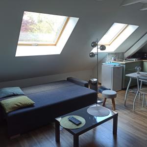 ロウファッハにあるJoli gîte F2 indépendant avec jardin privéのリビングルーム(ベッド1台、窓付)