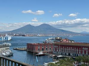 vista su un porto con barche in acqua di NAPOLIFOREVER Chiaia APARTMENT a Napoli