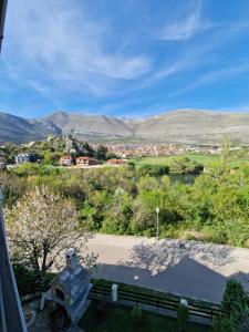 una estatua en un parque con una ciudad al fondo en Studio apartmani Milović, en Trebinje