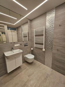 ein Bad mit einem WC, einem Waschbecken und einem Spiegel in der Unterkunft ANTRI Namai - Apartamentai Birštone in Birštonas