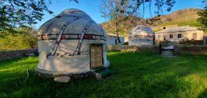 two domes sitting in the grass in a yard at Kakhar Yurt stay & Mountain village in Sentyab