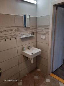 Koupelna v ubytování Skromný apartmán v centru Chebu, 3. Floor + 9 fotografií