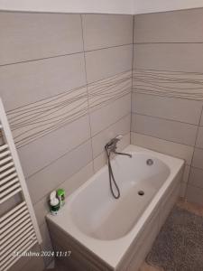 Koupelna v ubytování Skromný apartmán v centru Chebu, 3. Floor