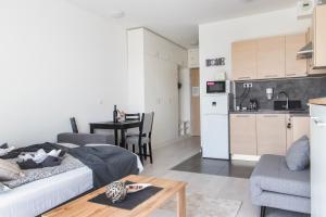Corvin Gem Apartment with PARKING 1081 Budapest, Corvin sétány 3/B kép - 2
