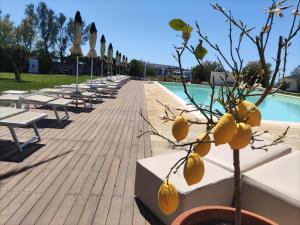 uma fila de mesas e cadeiras junto a uma piscina em Riva di Palo Resort em Ladispoli