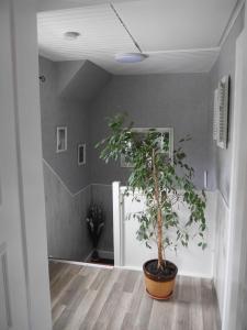 Fotografie z fotogalerie ubytování Eva's Home v destinaci Müllenbach