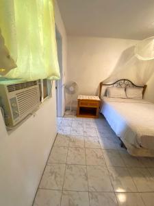 een slaapkamer met een bed en airconditioning bij Coconut house Charlestown nevis in Charlestown