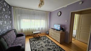 sala de estar con sofá y TV en Smile Appartment en Tartu