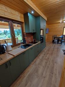a kitchen with green cabinets and a wooden floor at Kamienica House 9 in Wągrowiec