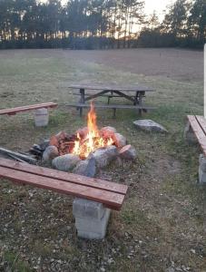 a fire pit with a picnic table in a field at Agroturystyka zielone wzgórze in Swornegacie