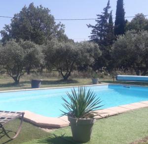 Basen w obiekcie OUSTAOU DU GAYET gîte de charme avec piscine privée lub w pobliżu