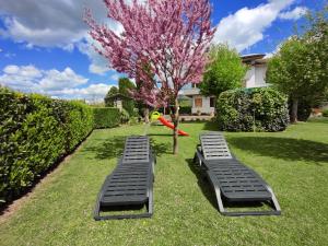 dos camas y un árbol con un árbol de flores rosas en Villa Gaia Truffle Experience, en Sansepolcro