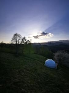 ein Kuppelzelt in der Mitte eines Feldes in der Unterkunft Glamping ZAZEN in Drumu Carului