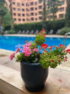 un pot noir rempli de fleurs à côté d'une piscine dans l'établissement Résidence Caprice Palace Hivernage, à Marrakech