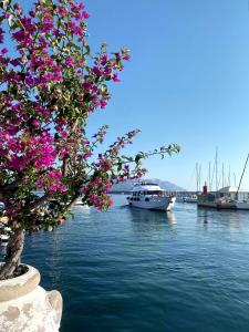 a boat in the water next to a tree with pink flowers at Domo Annalisa in Àrbatax