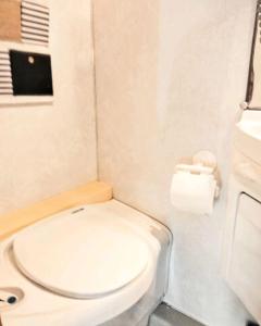 a small bathroom with a toilet and a sink at Sweet Camper in Florence