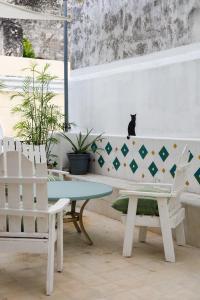 une table et deux chaises et un chat assis sur un mur dans l'établissement CENTRO DE LA CIUDAD CASA PAXI ESTUDIO8, à Mérida