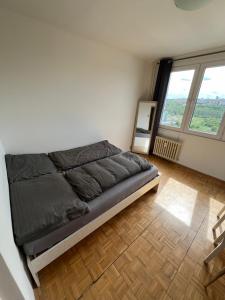 a bedroom with a bed and a large window at Private room in a shared park-side apartment with a great connection to the city center in Prague