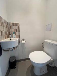 a bathroom with a white toilet and a sink at Private room in a shared park-side apartment with a great connection to the city center in Prague