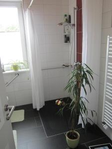 WiedaにあるDani`s Feriendomizil für 6 Personenのバスルーム(シャワー付)が備わります。