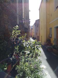 um beco com vasos de plantas ao lado de um edifício em Casa vacanze Sa Rocchitta em Querce