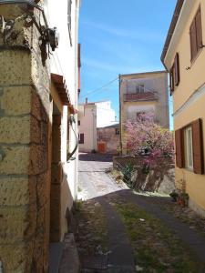 um beco entre dois edifícios com um gato ao lado em Casa vacanze Sa Rocchitta em Querce