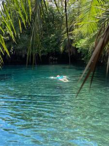 a person swimming in a body of water with palm trees at Turaco Homestay in Arusha +17 photos