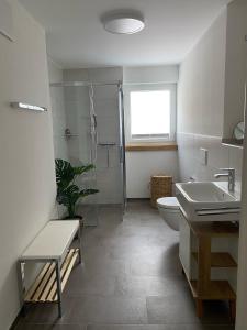 Vonios kambarys apgyvendinimo įstaigoje Haus Wiesenquelle - Fewo 1 "Schlüchtsee", Feldberg