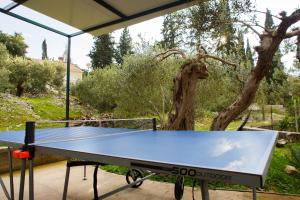 a ping pong table in front of a tree at Apartman Karmela in Zaton