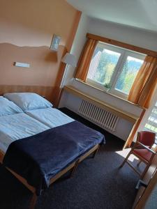 a bedroom with a bed and a window and a chair at Hotel Albert in Paseky nad Jizerou