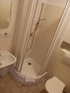 La salle de bains est pourvue d'une douche, de toilettes et d'un lavabo. dans l'établissement Hotel Albert, à Paseky nad Jizerou
