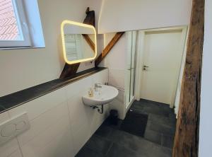 a bathroom with a sink and a mirror at Patrizierhaus St Pauli am Brauhaus Zwiebel in Soest