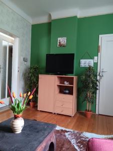 a living room with a television and green walls at Urlaub am Bauernhof in Trattenbach