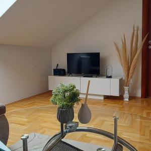 a living room with a flat screen tv and plants at Apartman Panorama in Požarevac