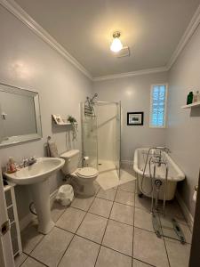 a bathroom with a sink and a toilet and a shower at Eden Estate B&B in Reidville