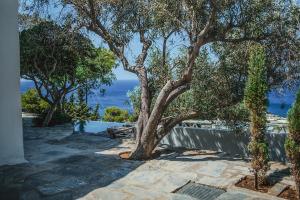 a tree sitting on top of a stone patio at Zen Blue Mills in Koundouros