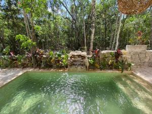 a pool of water in a yard with trees at Little Oasis with private pool in the jungle in Chemuyil